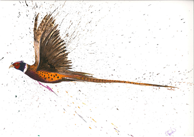 Clare Brownlow Greetings Card - Flying Pheasant